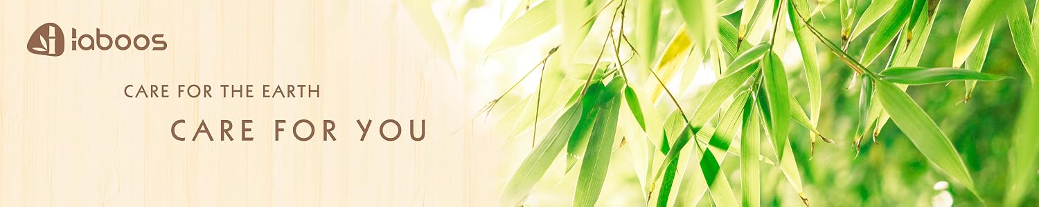Fresh green bamboo in sunlight